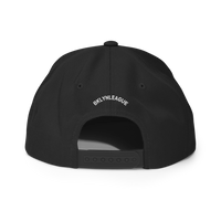 Flatbush Neighborhood Snapback Hat