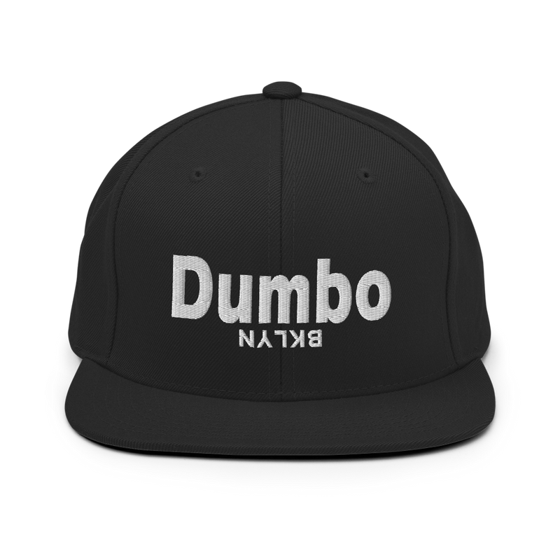 Dumbo Neighborhood Snapback Hat