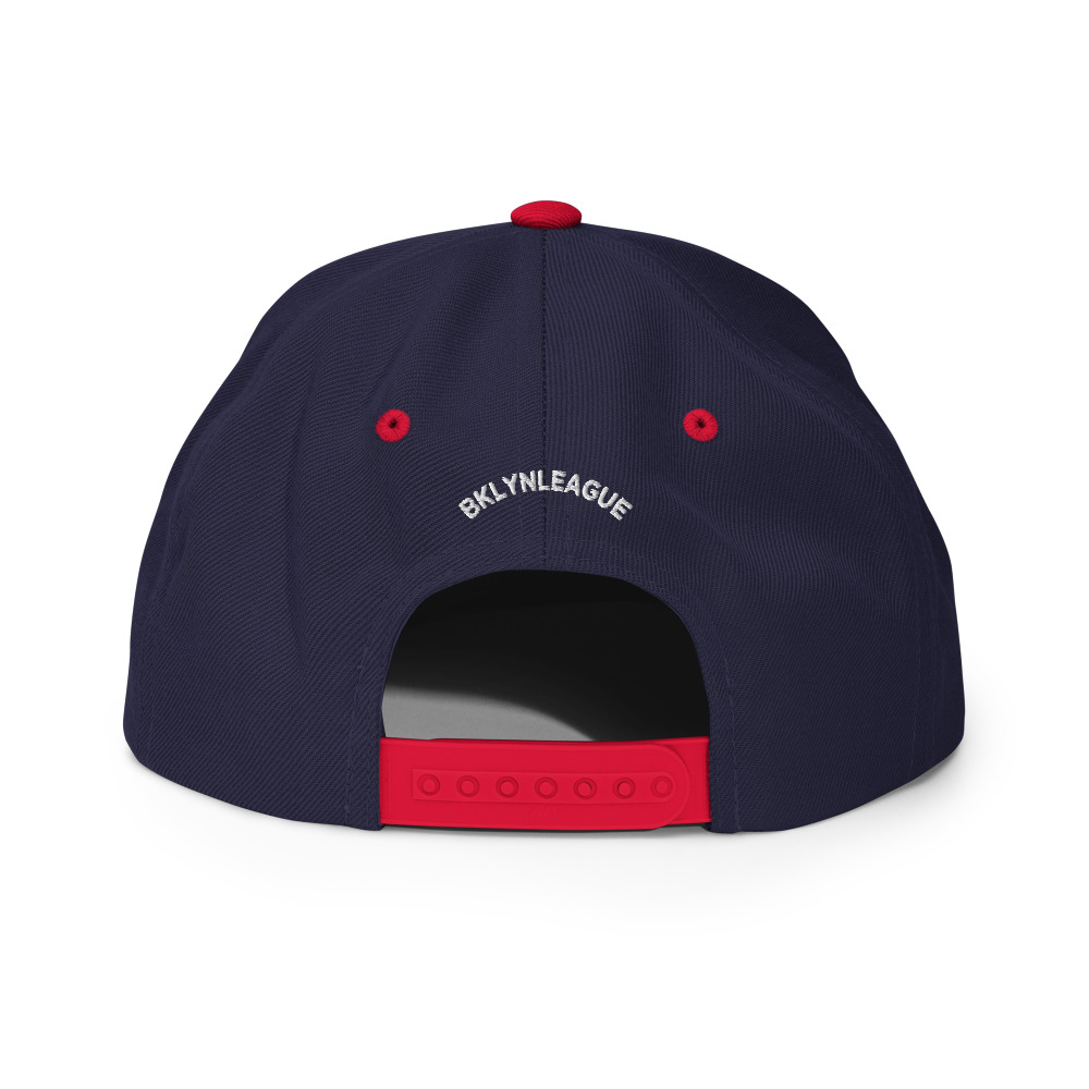 Dumbo Neighborhood Snapback Hat