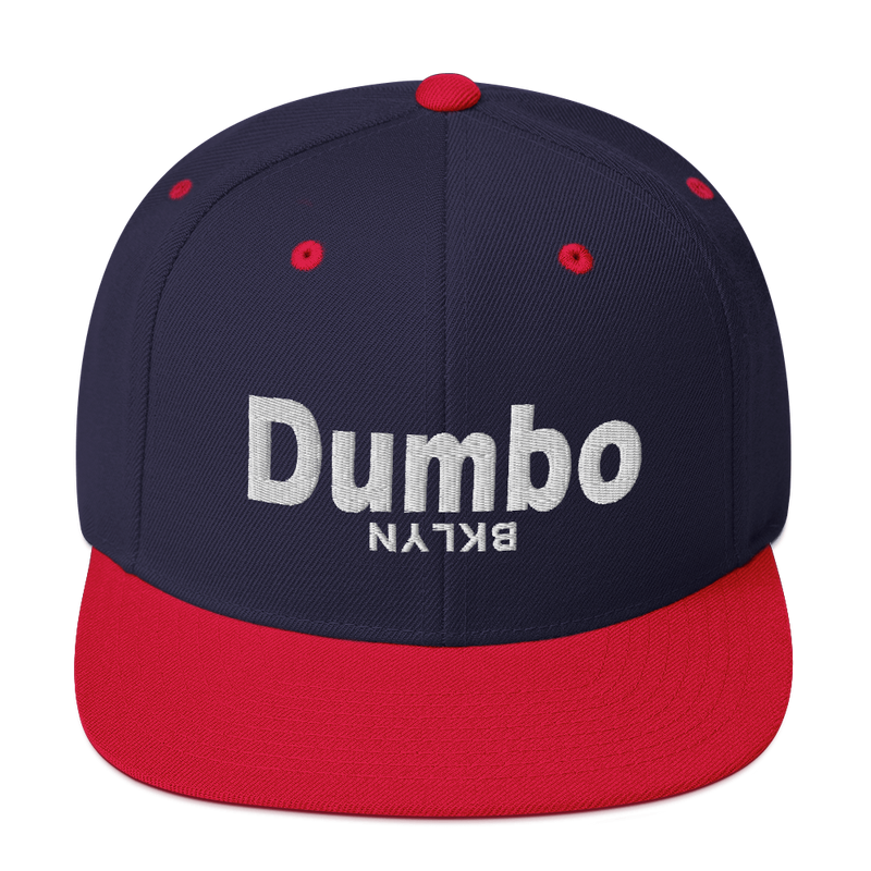 Dumbo Neighborhood Snapback Hat